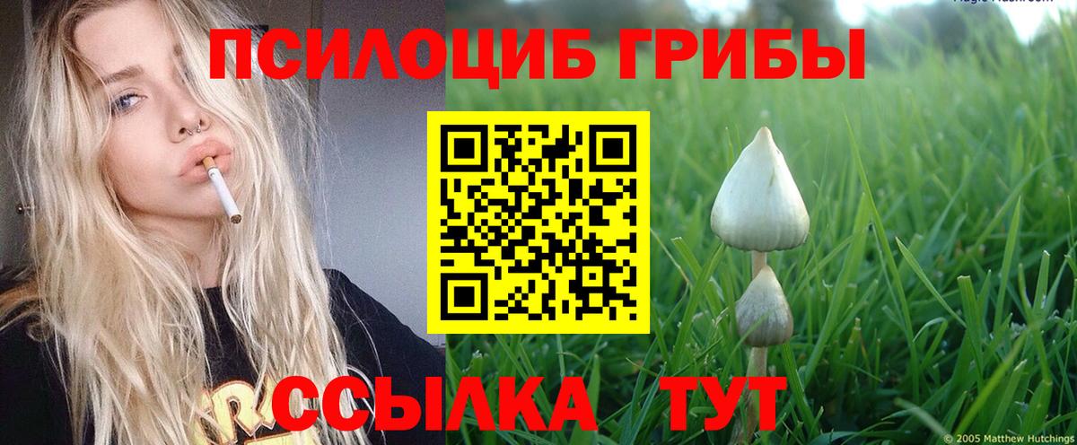 Галлюциногенные грибы ЛСД  наркотики  Нягань  Вход с VPN 