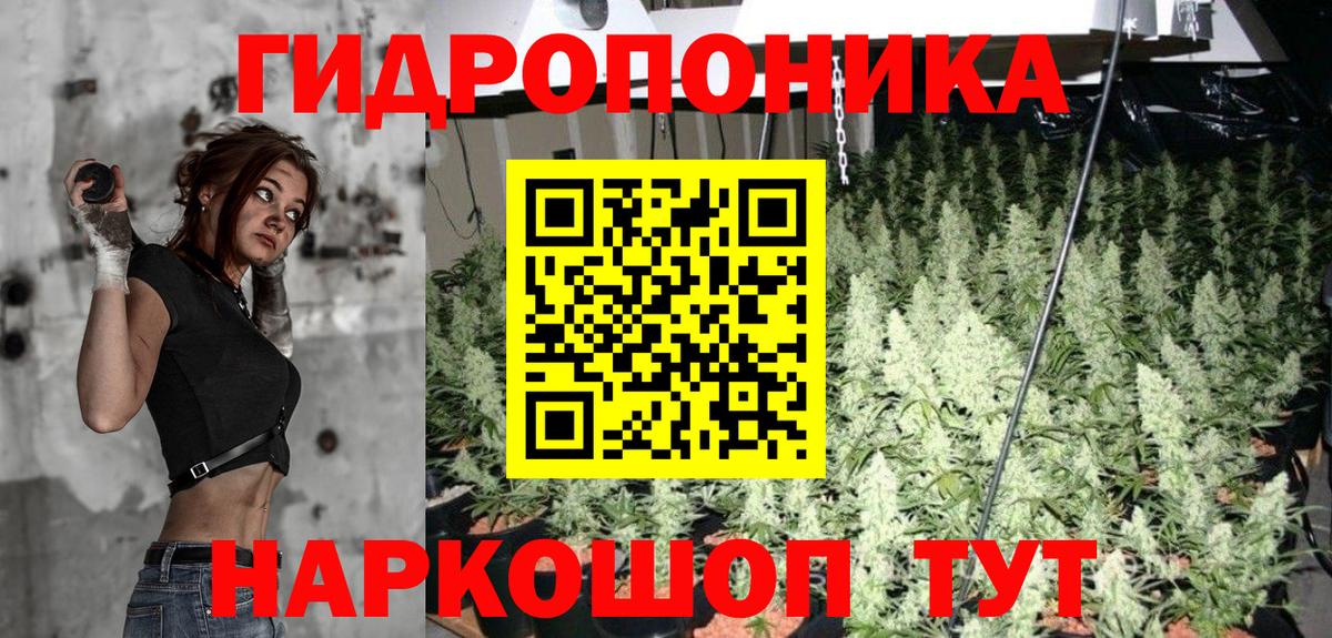 Бошки марихуана OG Kush  Марихуана семена  Марихуана THC 21%  Нягань  Вход с VPN 